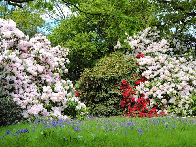 bowood-gardens