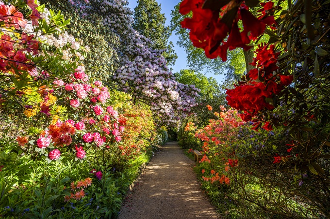 leonardslee-spring-time