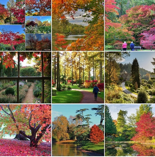 autumn-2023-fb