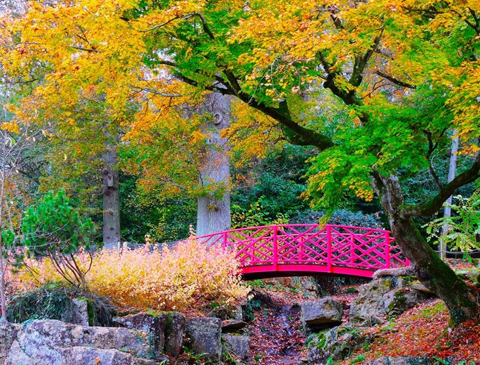 batsford-arboretum