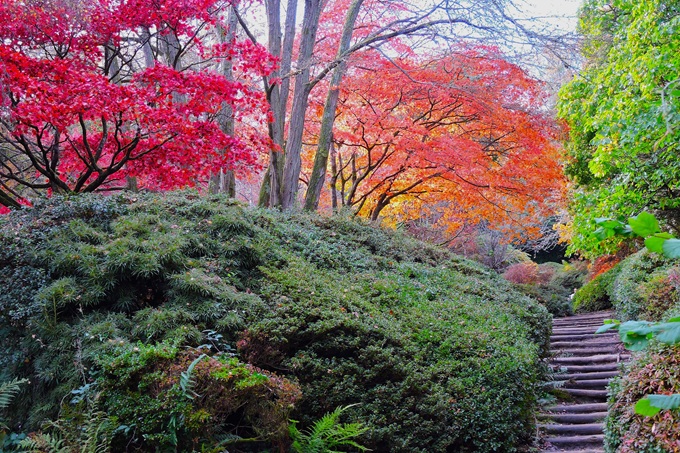 Winkworth Arboretum winkworth-arboretum