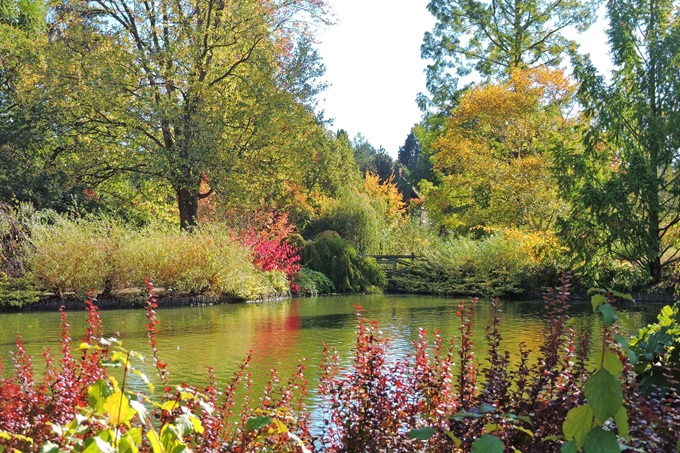 Wisley Gardens wisley-gardens