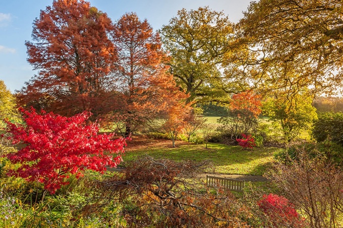 Borde Hill Gardens Autumn Colours Sussex borde-hill-gardens-autumn-colours