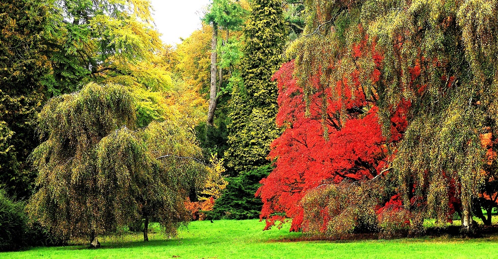 autumn-colours