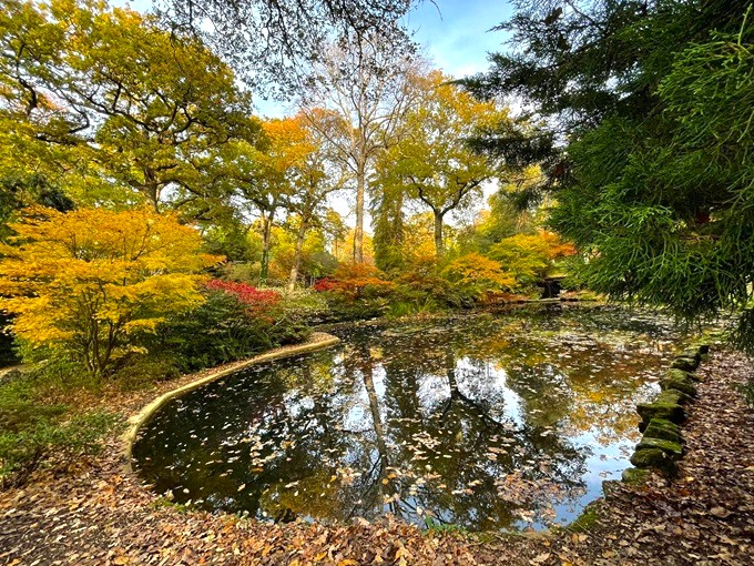 Exbury Gardens Autumn Colours exbury-gardens-autumn-colours
