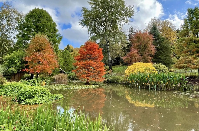 Hillier Gardens Autumn Colours hillier-garden-autumn-colours-hampshire