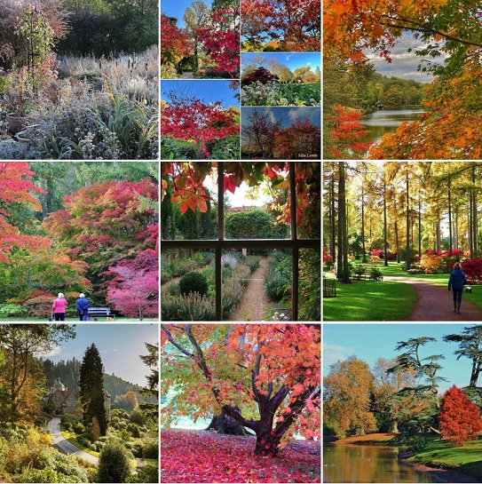 500 Gardens near me to visit in England Scotland and Wales - Great ...