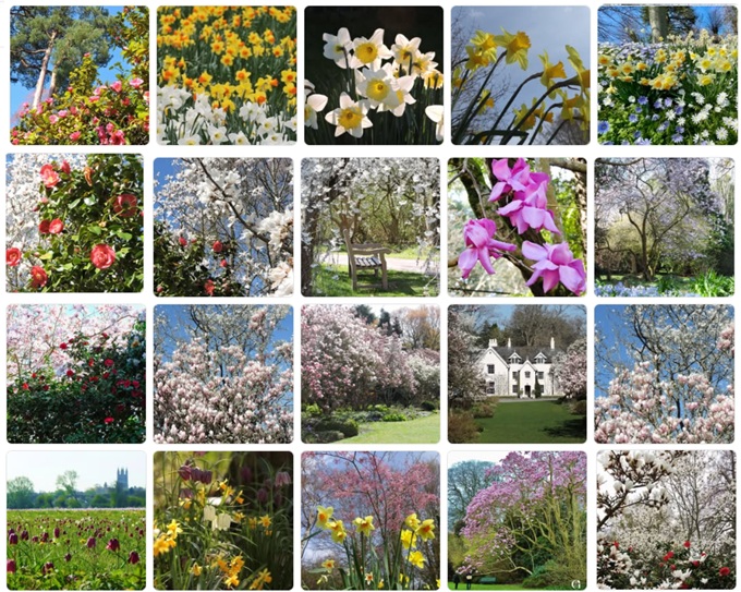 Best Spring Gardens near me best-spring-gardens-near-me