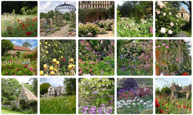 english-rose-gardens-near-me
