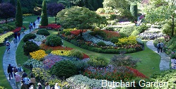 butchart-garden
