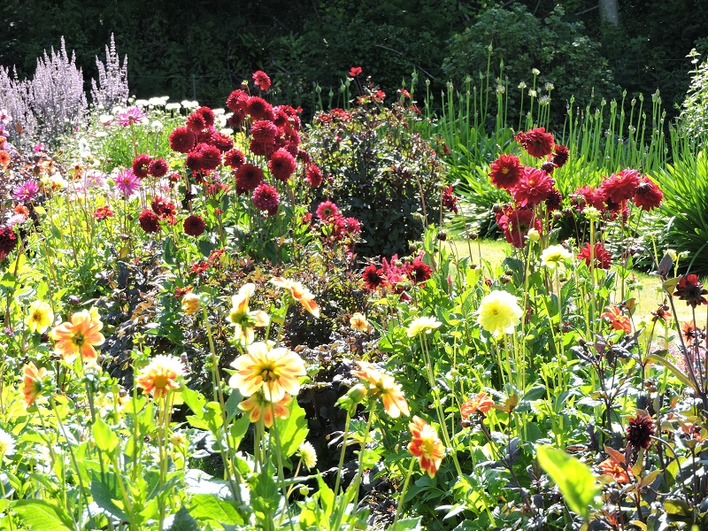 Cottage Garden Cornwall