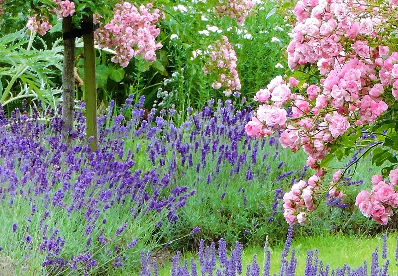 Cottage Garden Worcestershire