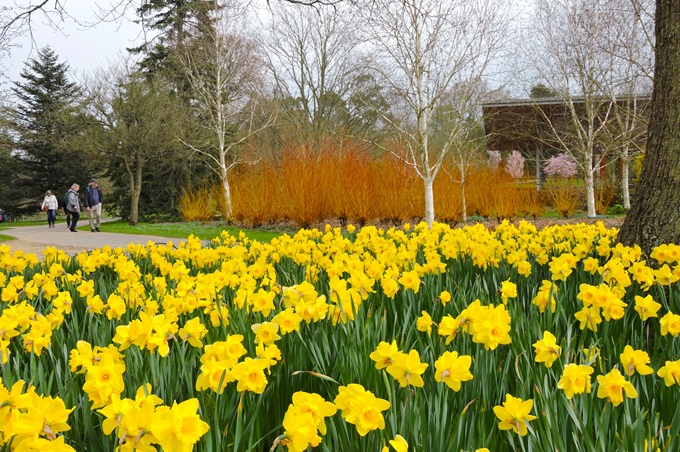 hillier-arboretum-2025