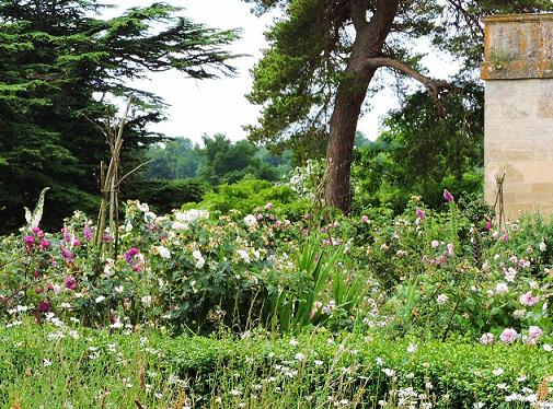 National Trust Dog Friendly Near Me National Trust Dog Friendly Near Me