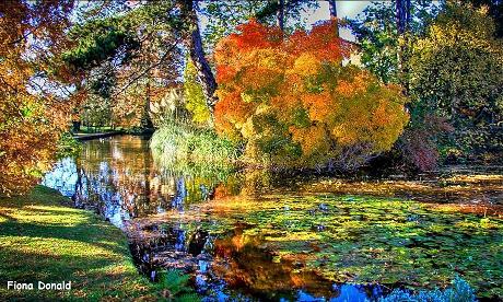 Cambridge Botanical Gardens >> Cambridge Botanic gardens and plaes to stay - Great ... Cambridge Botanical Gardens >> Cambridge Botanic gardens and plaes to stay - Great ...