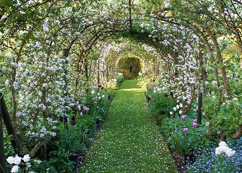 The Dower House Garden Bridgnorth Map Great British Gardens