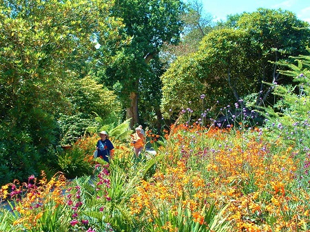 heligan-gardens