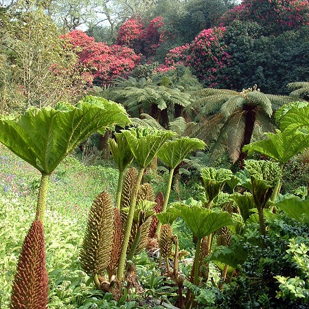 lost-heligan