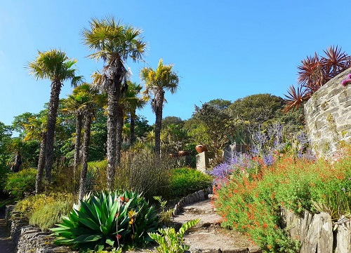 garden to visit in devon