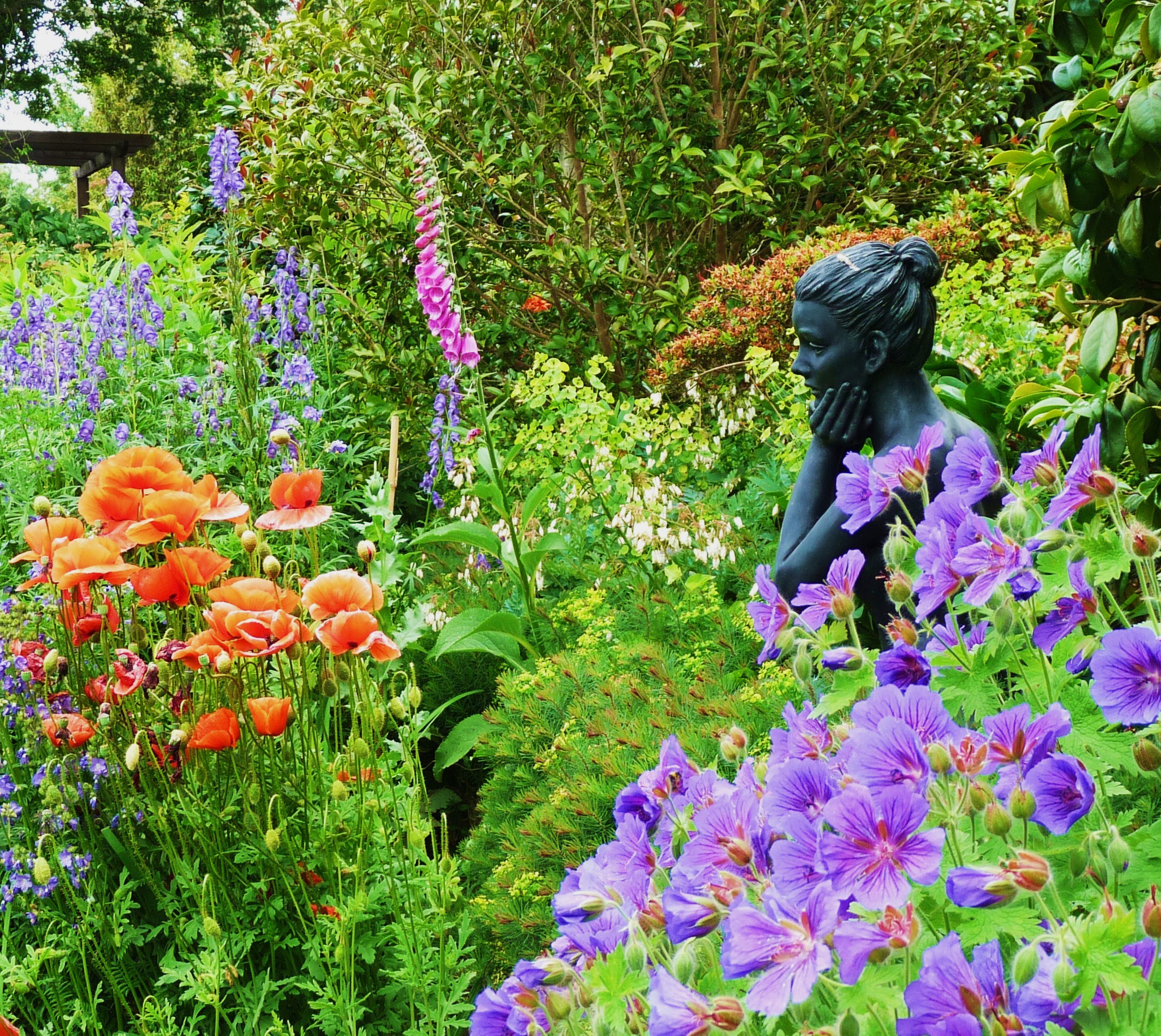 Poppy Cottage Garden near St Mawes and places to stay Great British