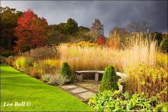 harlow carr kennels