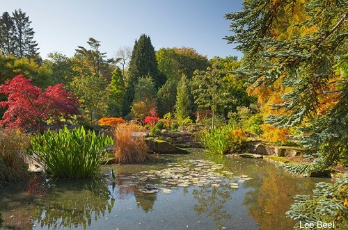 places to visit near harlow carr