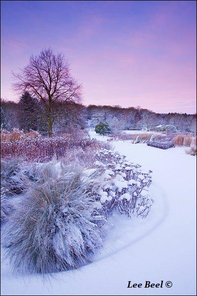 harlow carr kennels