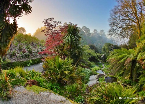 Gardens In Cornwall Map Trebah Gardens Near Falmouth - Great British Gardens