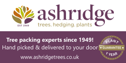 ashridge banner