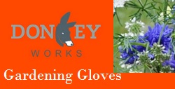 donkey-wear-gardening-gloves