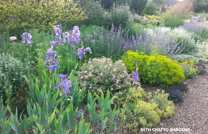 gardens-in-essex