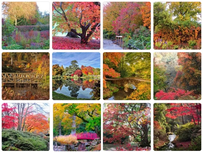 autumn-colours-near-me-2025