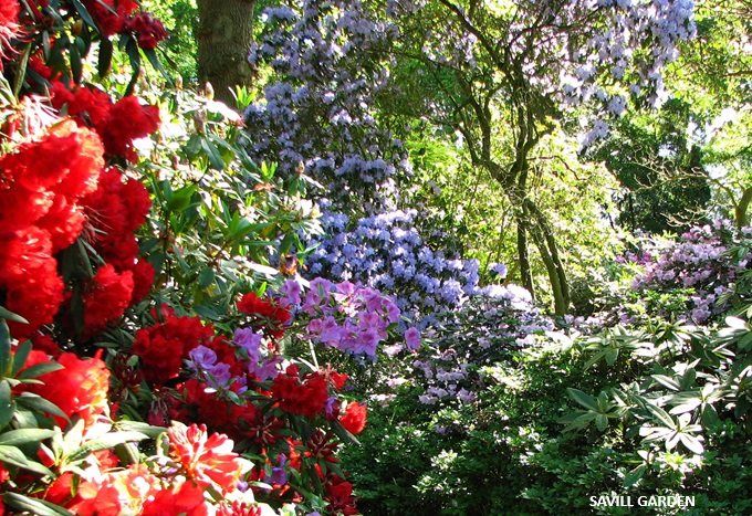 gardens-to-visit-berkshire