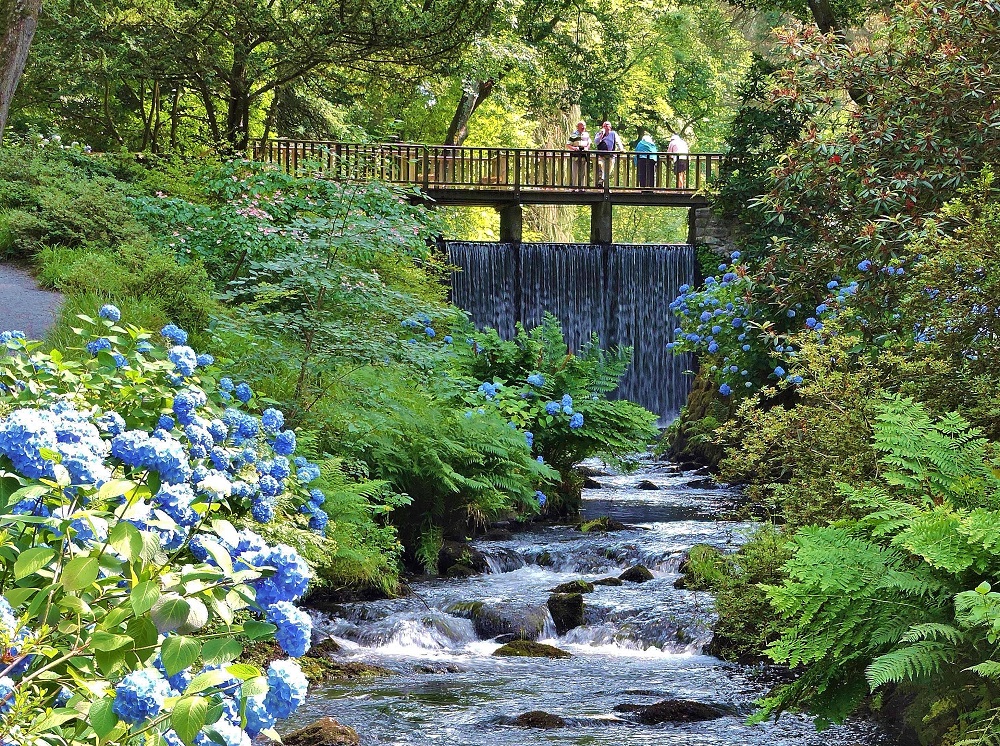 Gardens To Visit near me in England, Scotland & Wales - Great British Gardens
