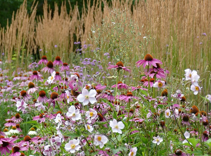 gardens-cambridgeshire