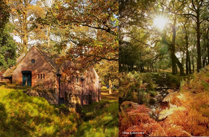 gardens-in-cheshire