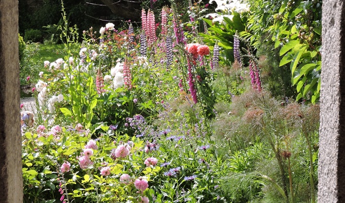 godolphin-organic-garden