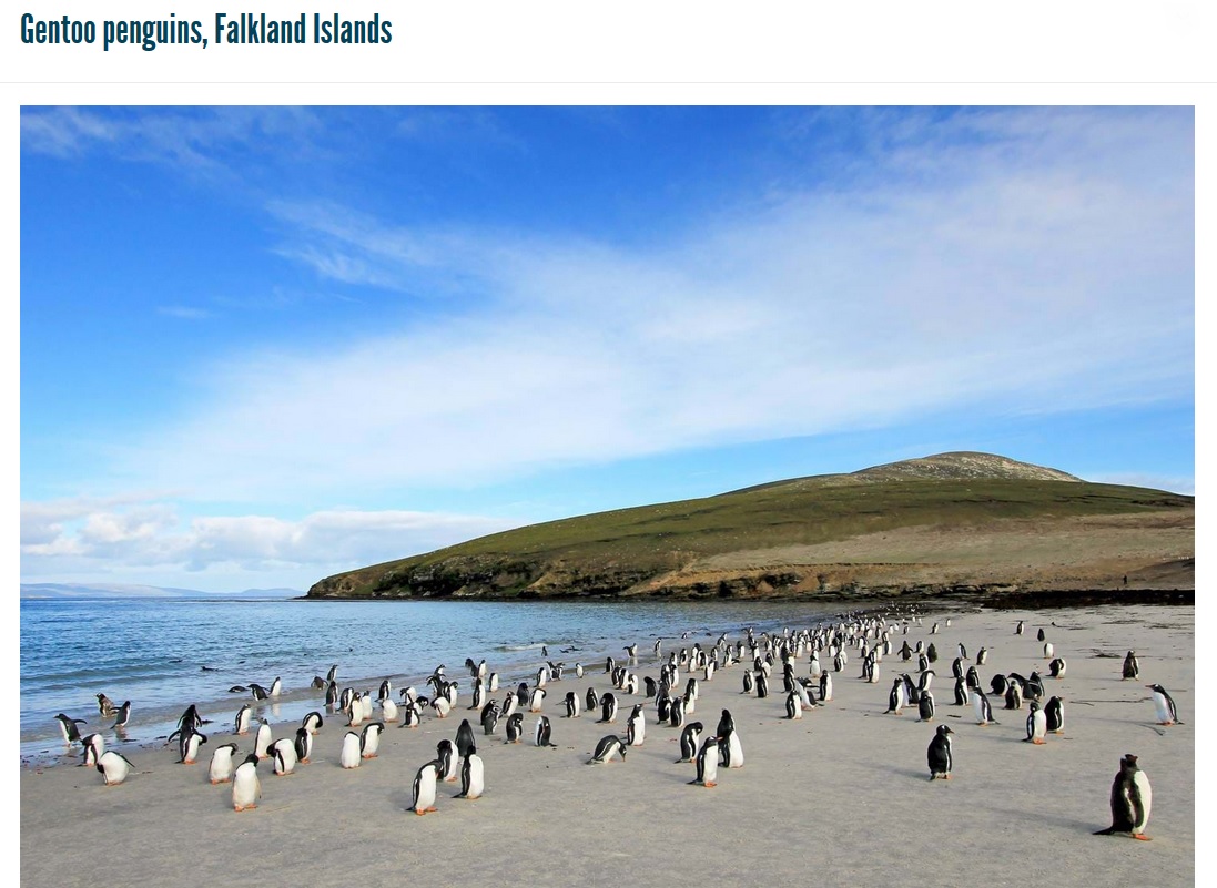 Falkland Islands