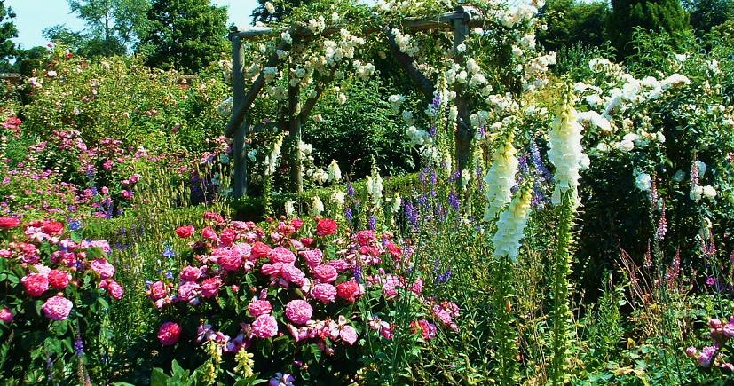 gardens-in hampshire