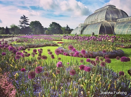 English Botanical Garden, Floral Black & White Pattern