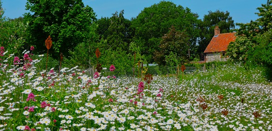 pensthorpe2023