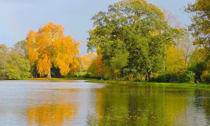 painshill-park-trees