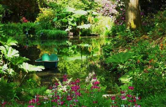 Ramster Garden Ramster Garden