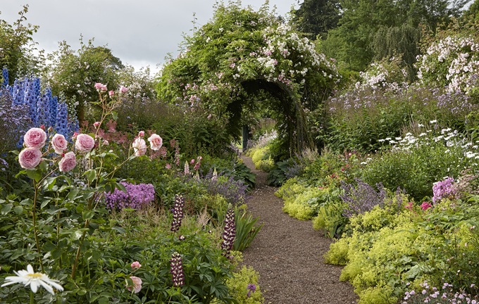Carolside-rose-gardens