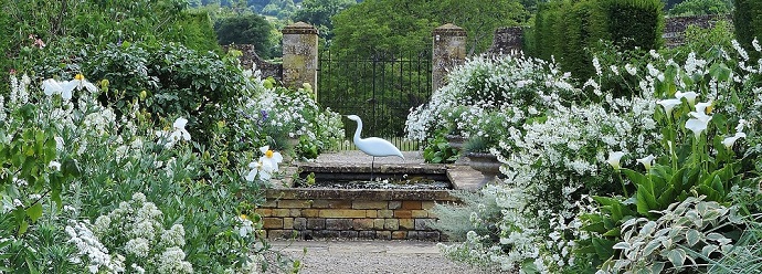 Bourton House Garden 2020