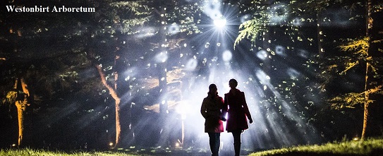 illuminated-gardens-westonbirt