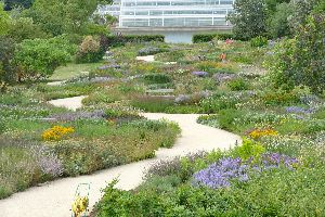 RHS Wisley
