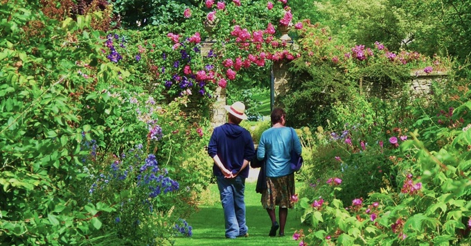 beautiful-rose-gardens