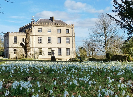 newark-park-snowdrops