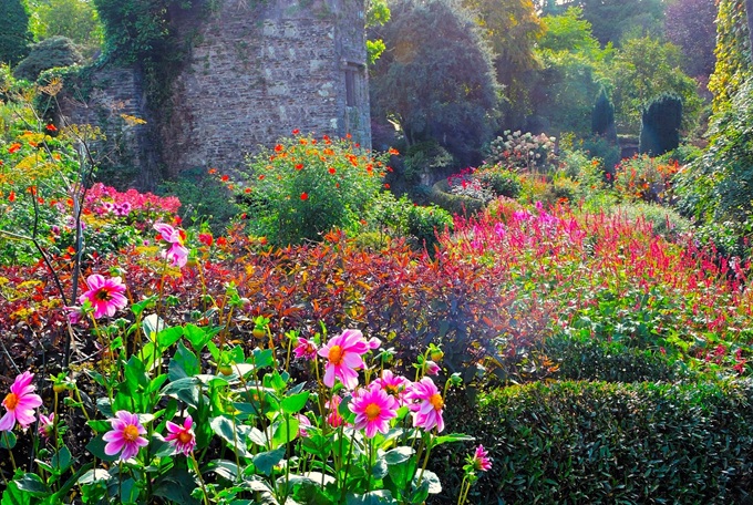 garden-house-garden
